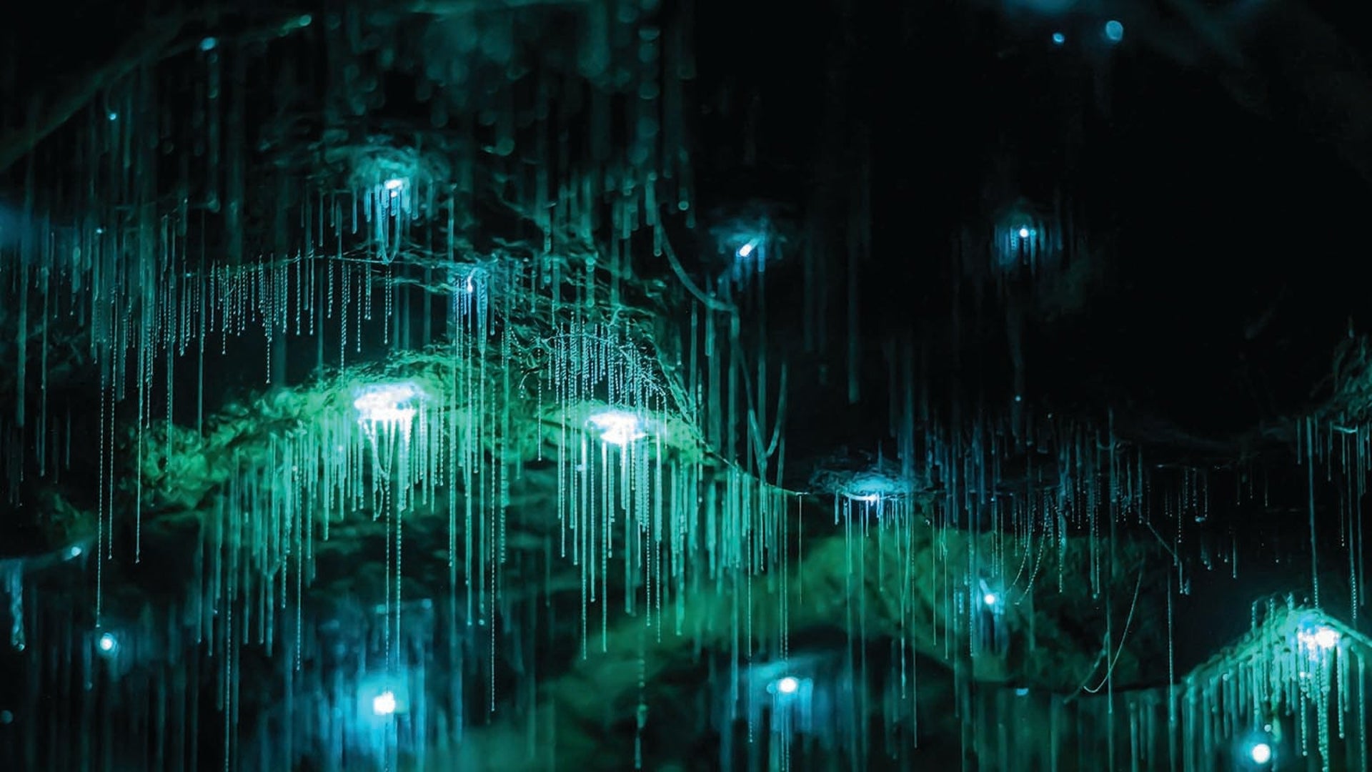 The Open Space In Orion (Based on Questions Posed By God to Job) Sound