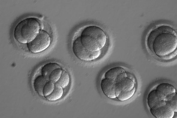 Embryo Gene-Editing Experiment Reignites Ethical Debate