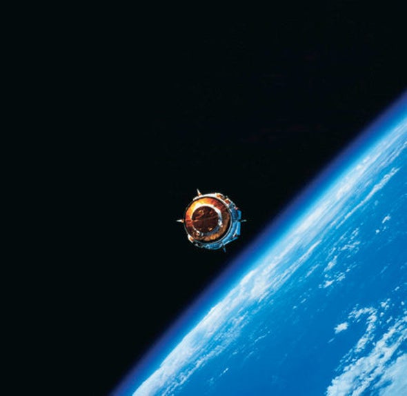 DNA Can Survive Reentry from Space