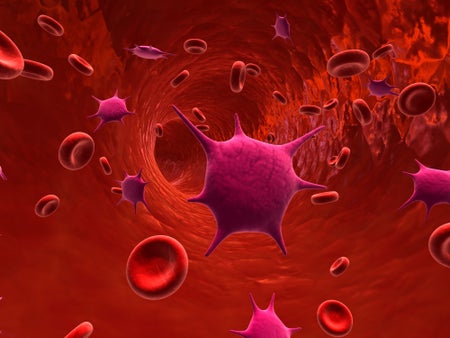 blood platelet