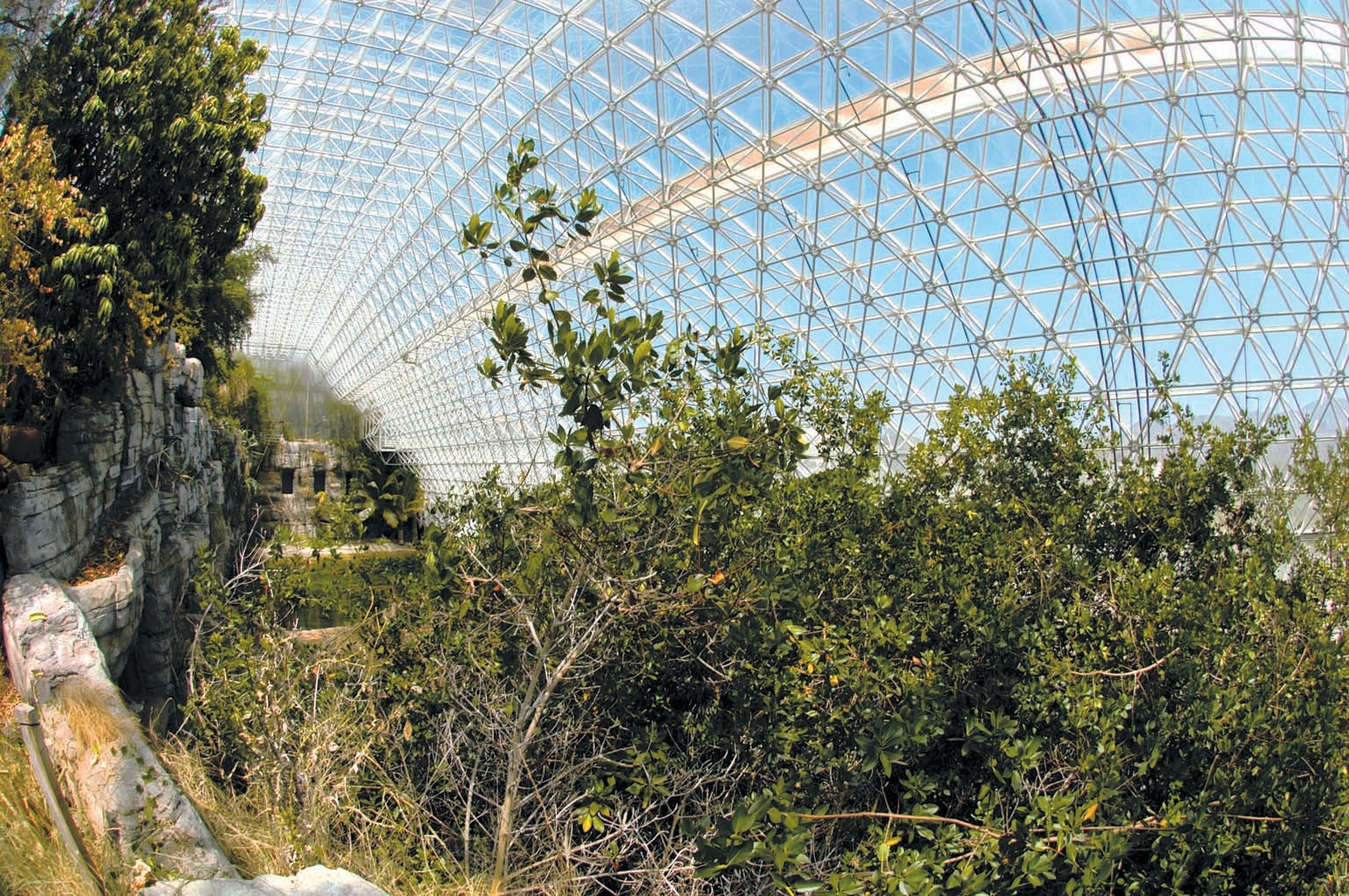 Interior view of greenhouse identified as “Biosphere2.”
