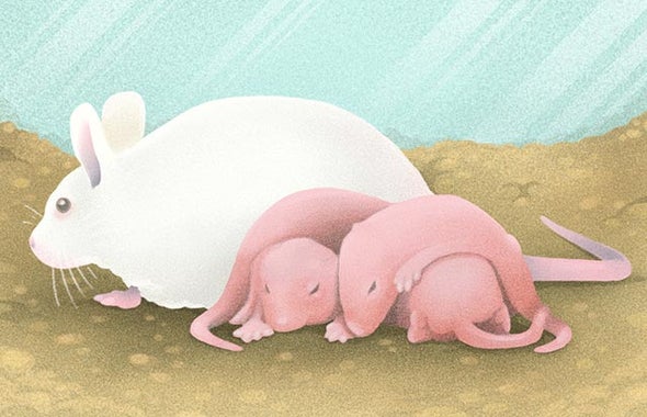 Can Female Mice Improve Autism Research?