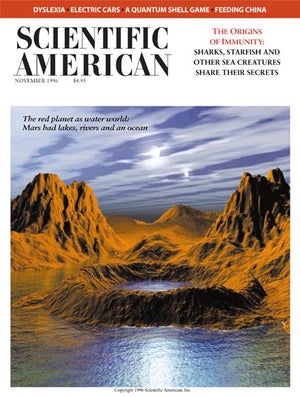 Scientific American Magazine Vol 275 Issue 5