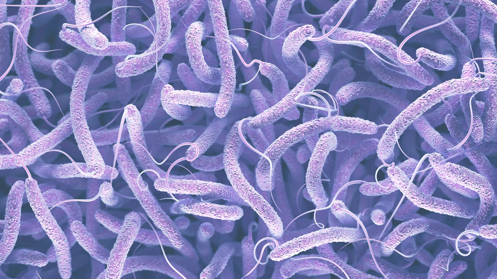 Satellites Predict a Cholera Outbreak Weeks in Advance | Scientific American, image size:1920x1080