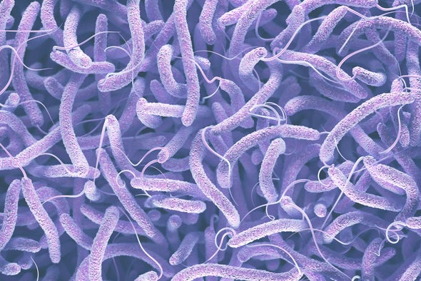 Satellites Predict a Cholera Outbreak Weeks in Advance
