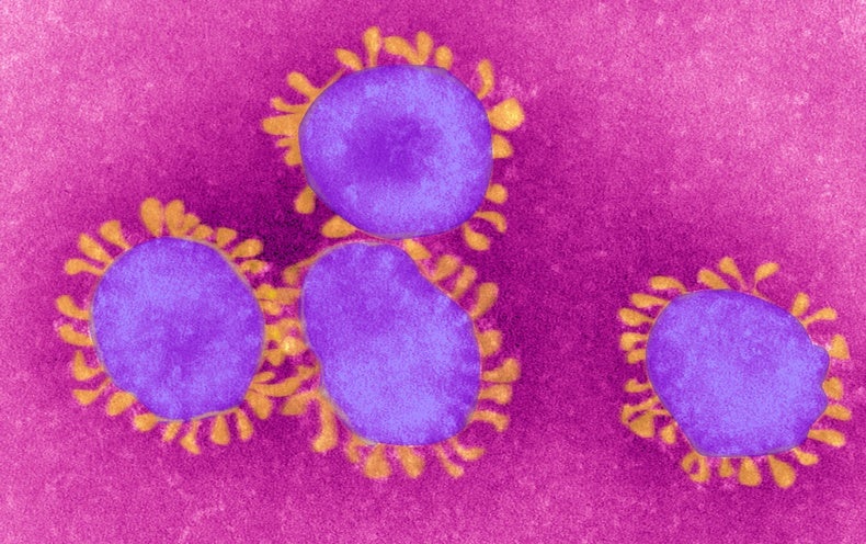 Disease Caused by the Novel Coronavirus Officially Has a Name: COVID-19 ...