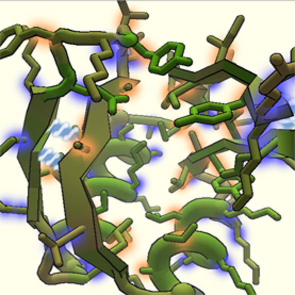 Foldit Online Protein Puzzle