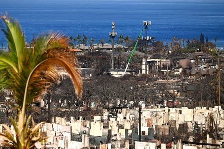 Utility workers are seen in the distance repairing cell phone service towers surrounded by structures destroyed by fire