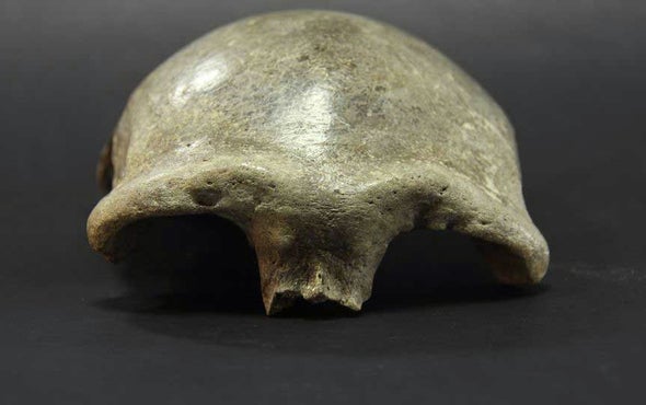 The Denisovans Expand Their Range Into China