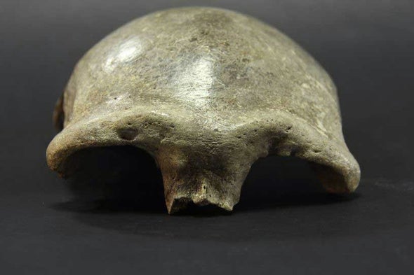 The Denisovans Expand Their Range Into China