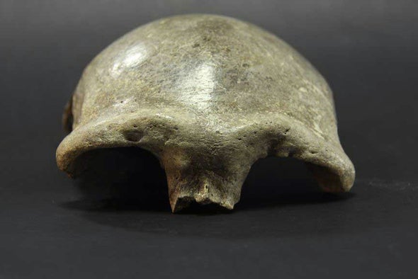 The Denisovans Expand Their Range into China
