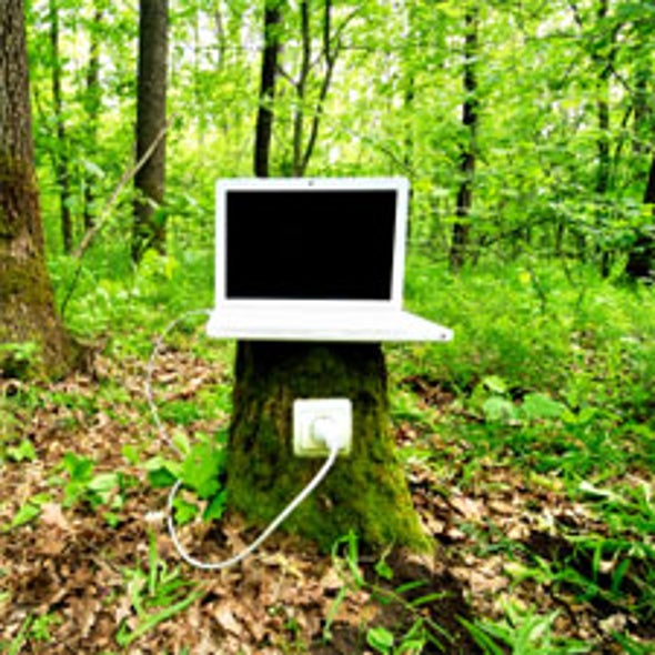 Green Tech Wilting Under Patent Office Scrutiny