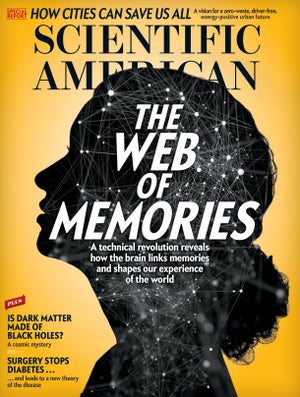 Scientific American Magazine Vol 317 Issue 1