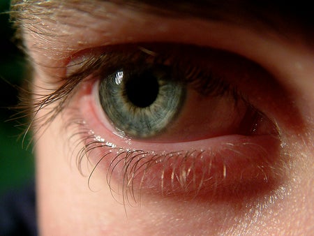 close-up of the human eye
