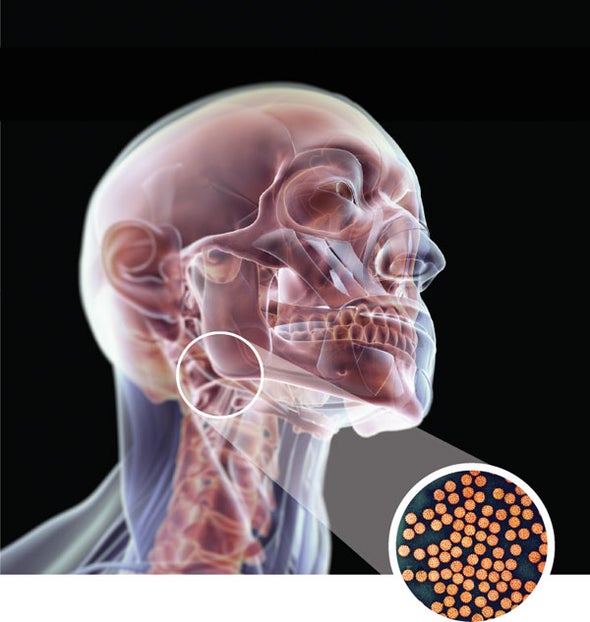 cancer in males from hpv