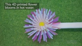 4-D Printed Shapes Bloom in Heat