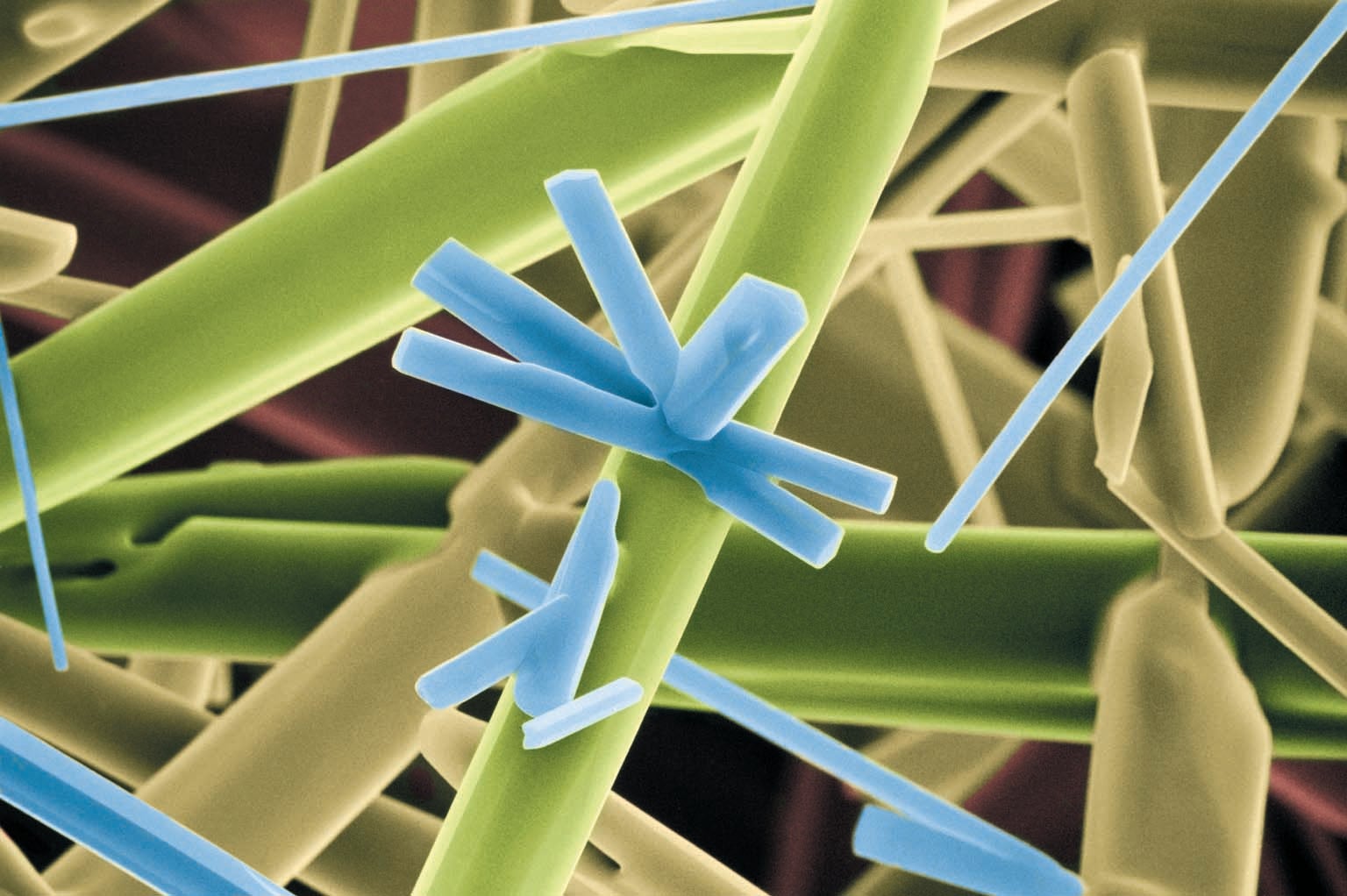 Green, blue and brown stained microscopic image showing elongated crystal shapes with star forming in the center.