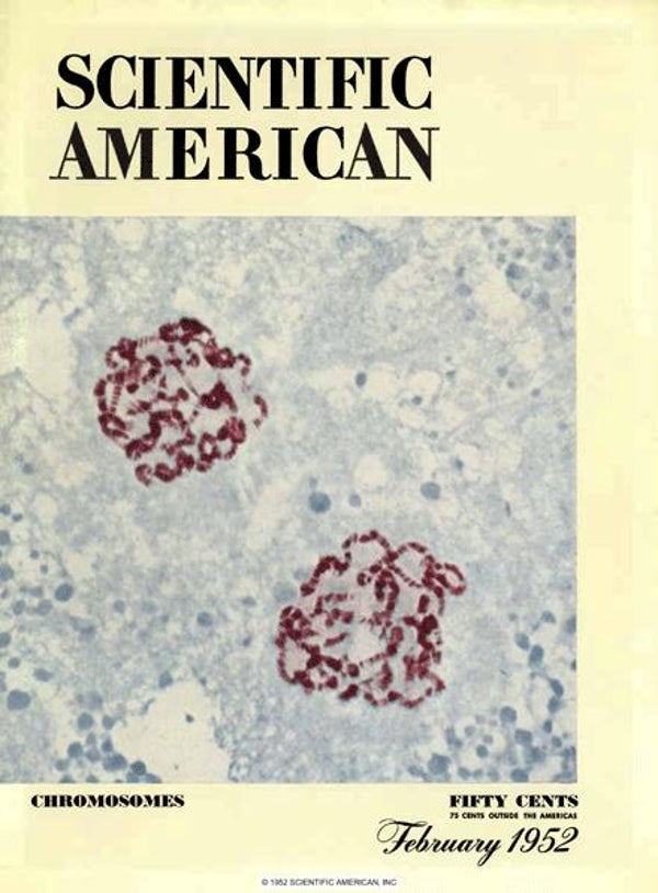 Scientific American Magazine Vol 186 Issue 2