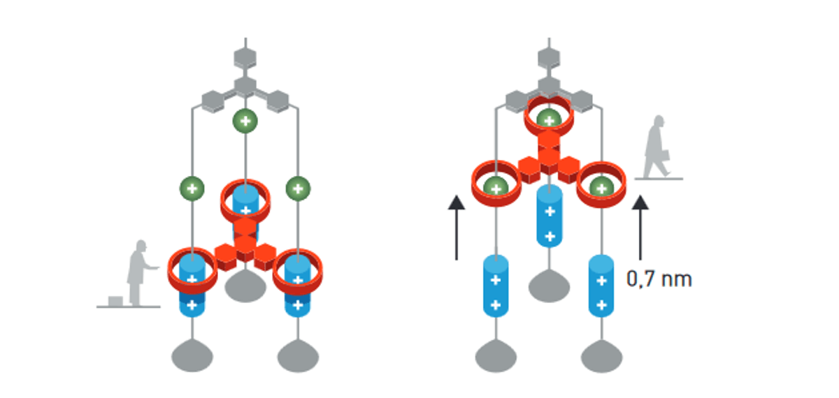 Chemistry Nobel Prize: Machines Too Small to See | Scientific American