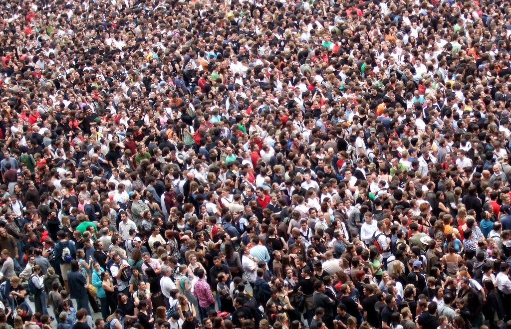 Hive Mind: New Approach Could Improve on Crowd Wisdom - Scientific American