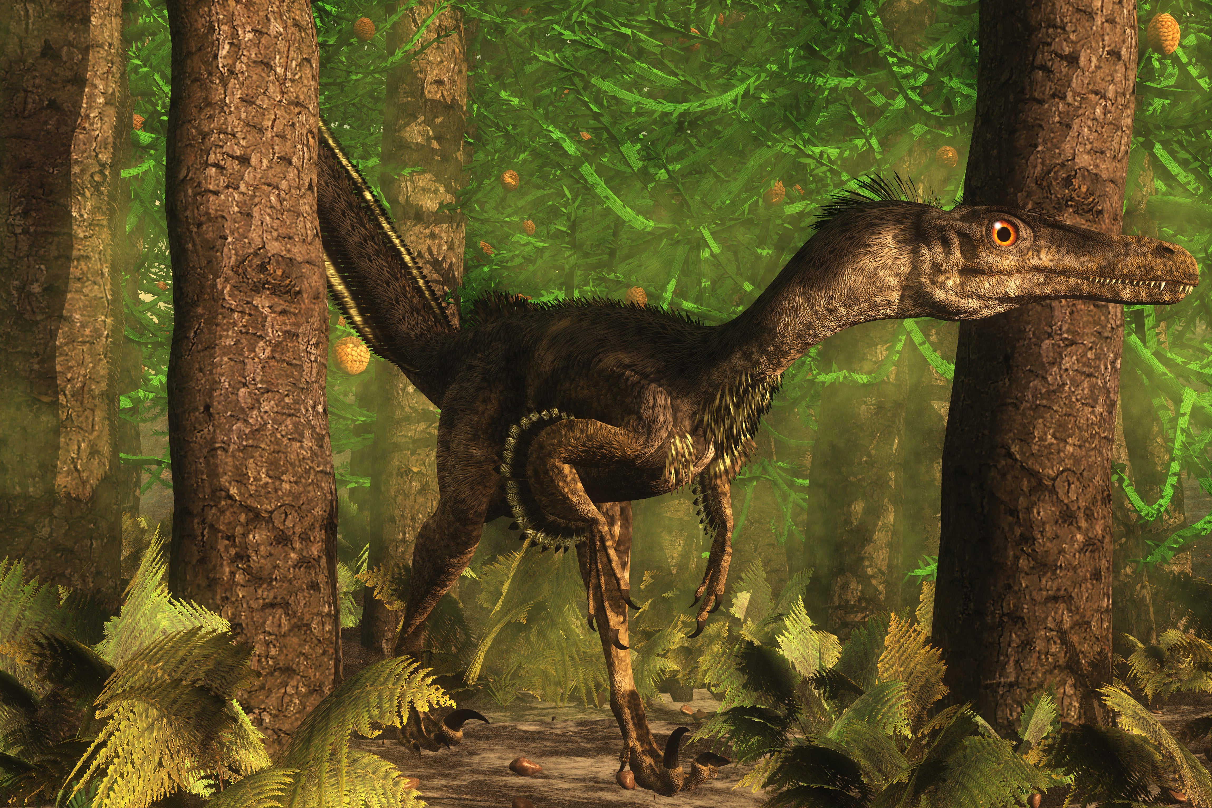 New Fossil Reveals Velociraptor Sported Feathers - Scientific American
