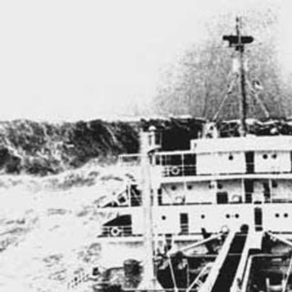 The Real Sea Monsters: On the Hunt for Rogue Waves