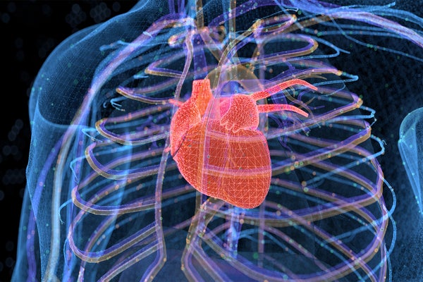 Digital illustration concept picturing human heart and circulator system