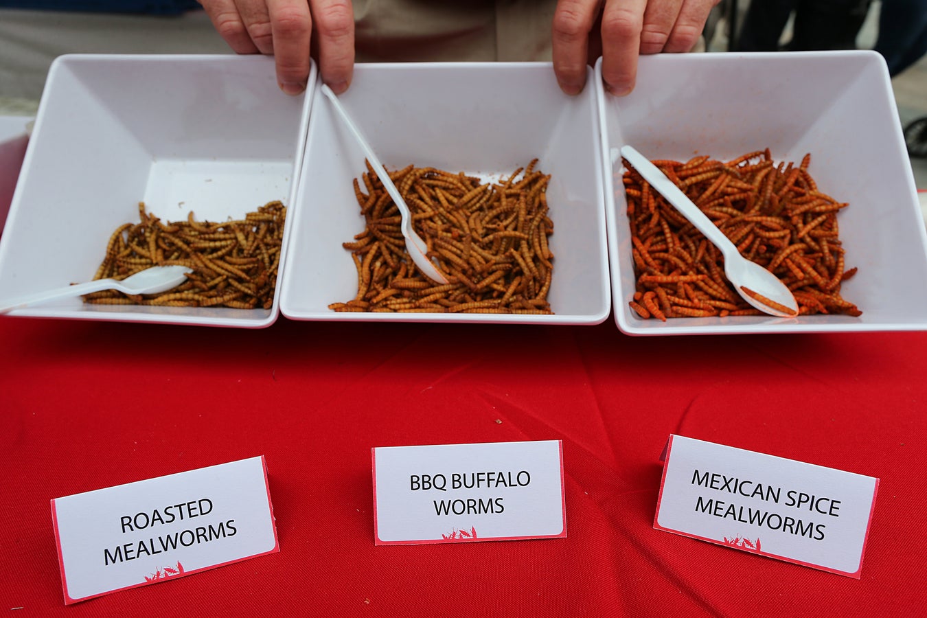 Edible Insects Have More Iron Than Sirloin Beef | Scientific American