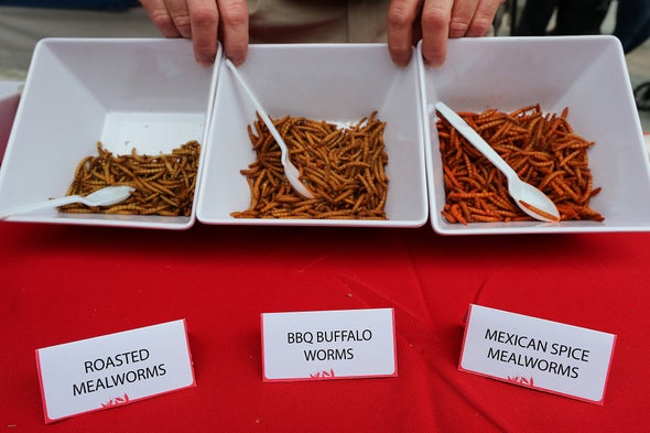 Edible Insects Have More Iron Than Sirloin Beef