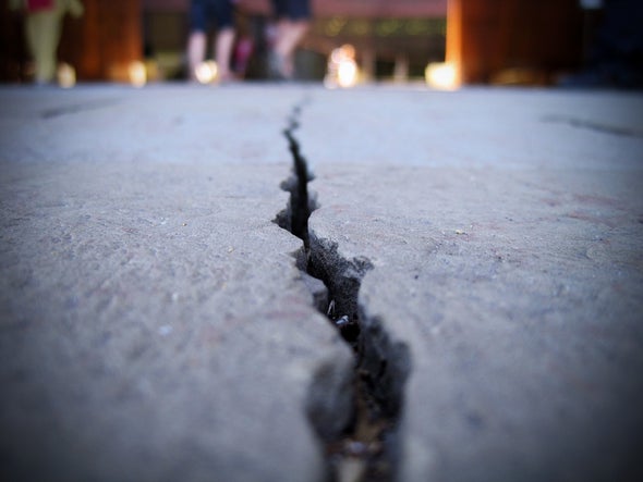 Fungi Can Help Concrete Heal Its Own Cracks