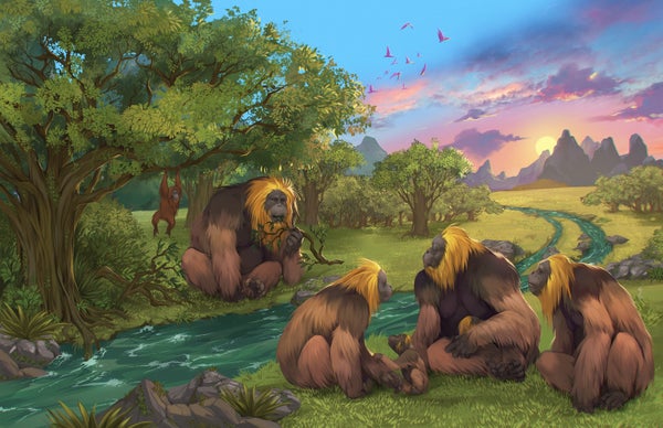 Illustration of a group of large apes sitting near a stream in a lush forest