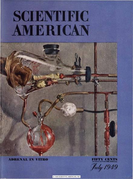 Scientific American Magazine Vol 181 Issue 1