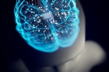 New AI Circuitry That Mimics Human Brains Makes Models Smarter