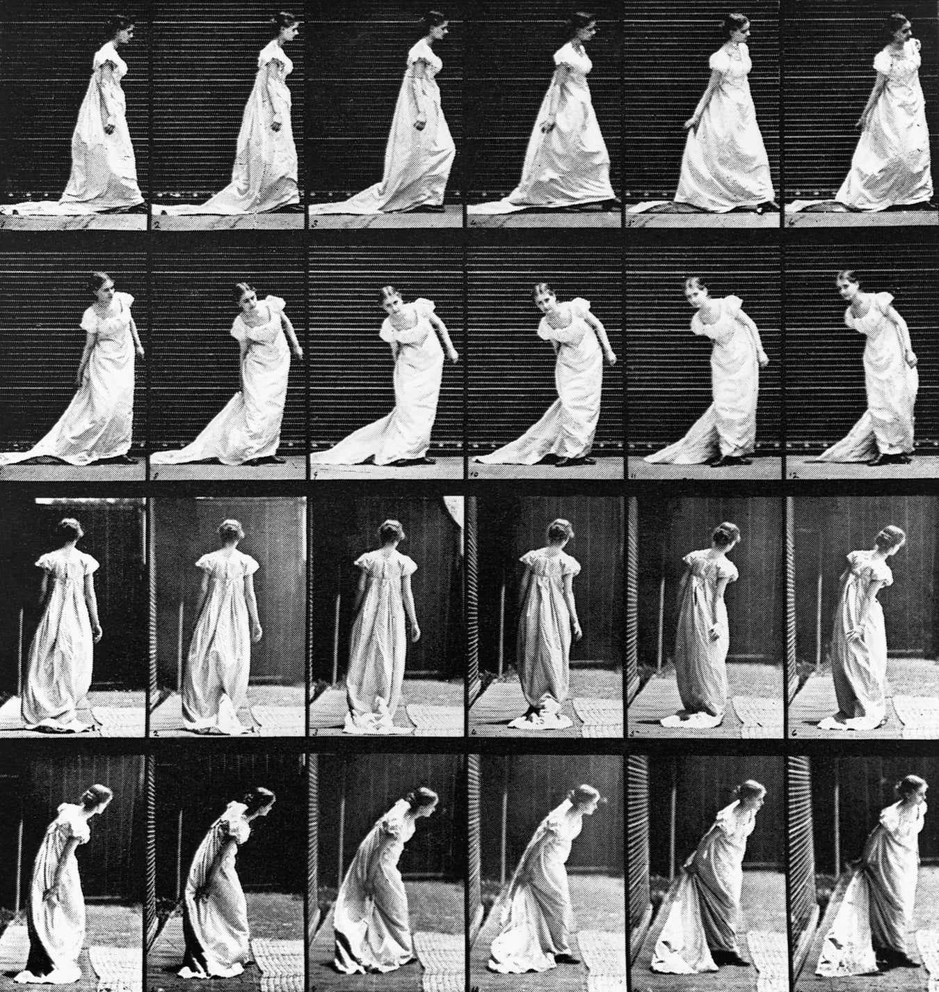 Biological Clocks Operate on Many Scales Scientific American