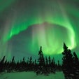 Why Do the Northern and Southern Lights Differ?