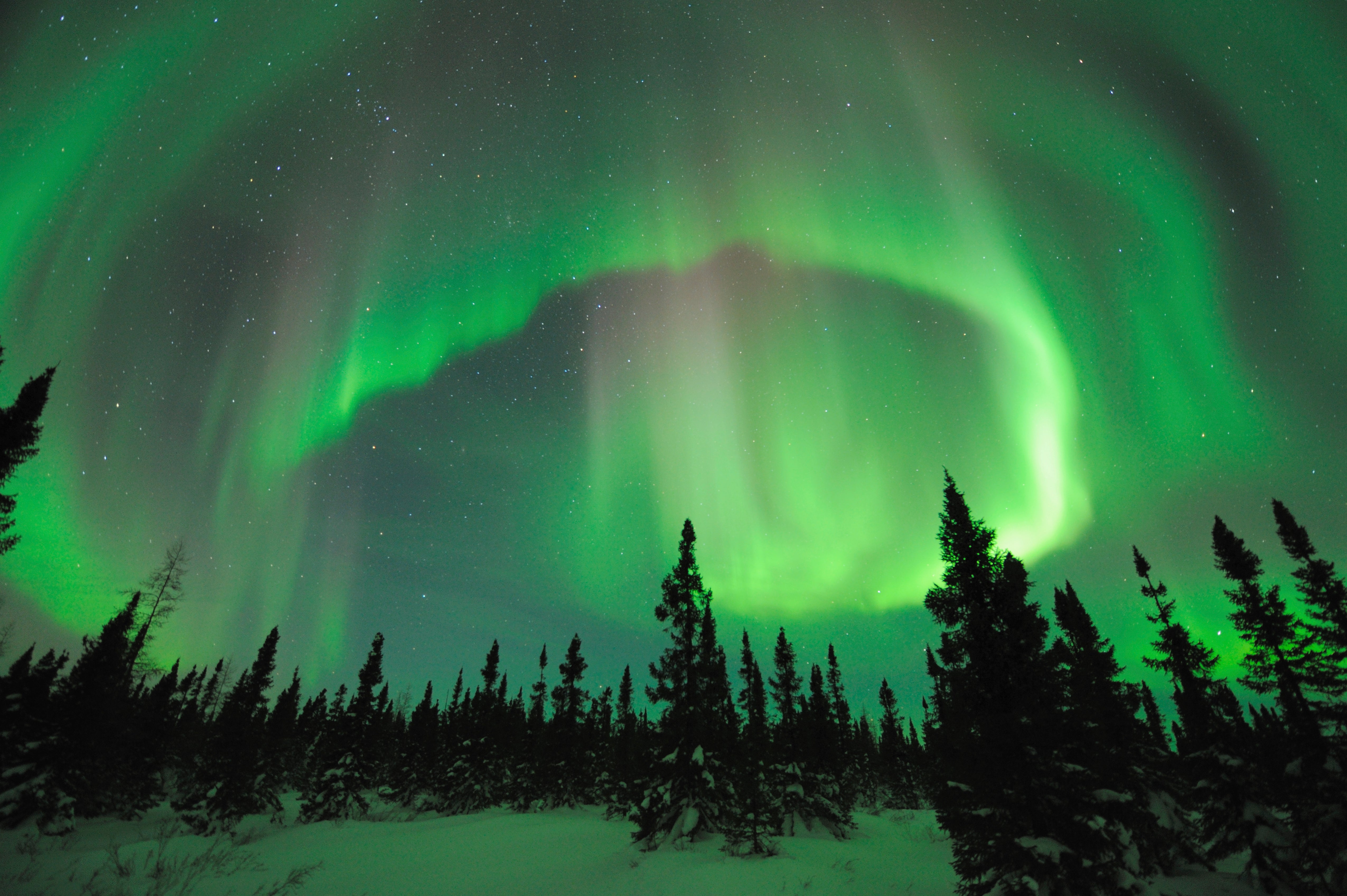fotografering Seaport Unravel Why Do the Northern and Southern Lights Differ? - Scientific American