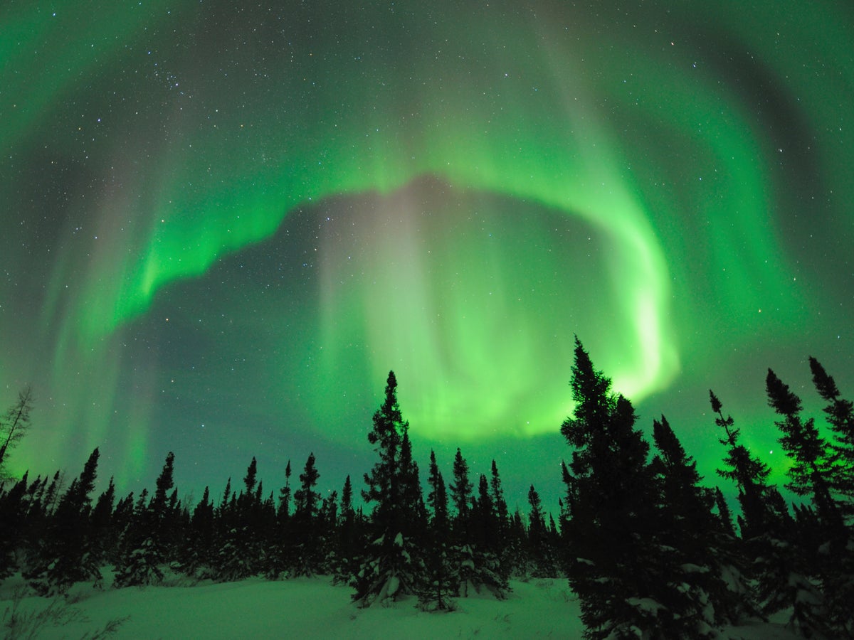 Why Do the Northern and Southern Lights Differ? | Scientific American