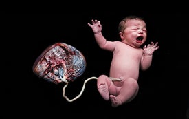5 Things We Bet You Didn't Know about the Placenta