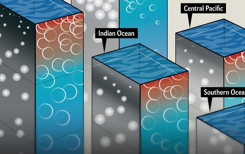 How the Ocean Sustains Complex Life