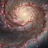A Maelstrom of Stars