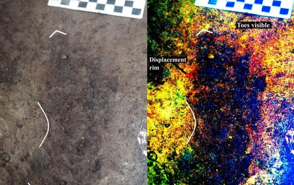 13,000-Year-Old Footprints under West Coast Beach