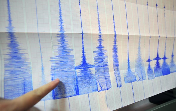 Dark Fiber Networks Can Sense Seismicity