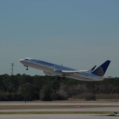 Air Algae: U.S. Biofuel Flight Relies on Weeds and Pond Scum