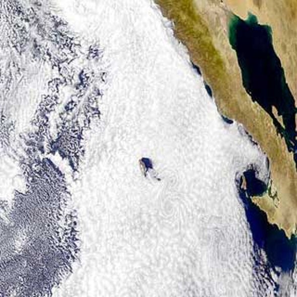 A Less Shady Future: Could Climate Change Mean Fewer Clouds?