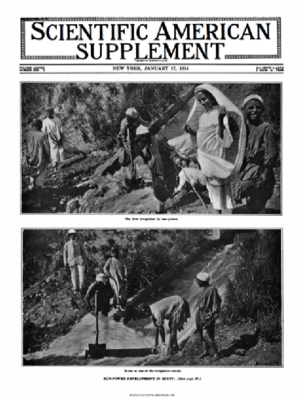 SA Supplements Vol 77 Issue 1985supp