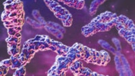 Untangling the Roots of Cancer