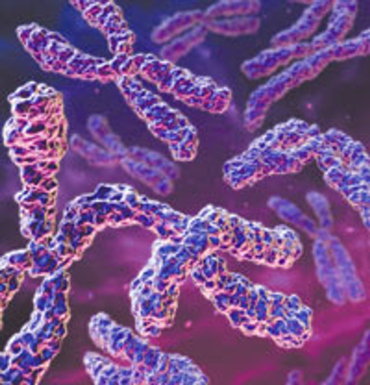 Untangling the Roots of Cancer | Scientific American