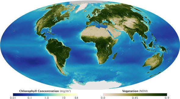 Plant Strife: Satellite measurements show declining phytoplankton in ocean currents