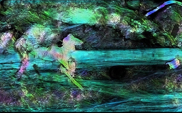 The Brain in Images: Top Entries in the Art of Neuroscience
