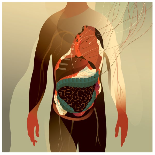 Art concept of human body showing internal organs.
